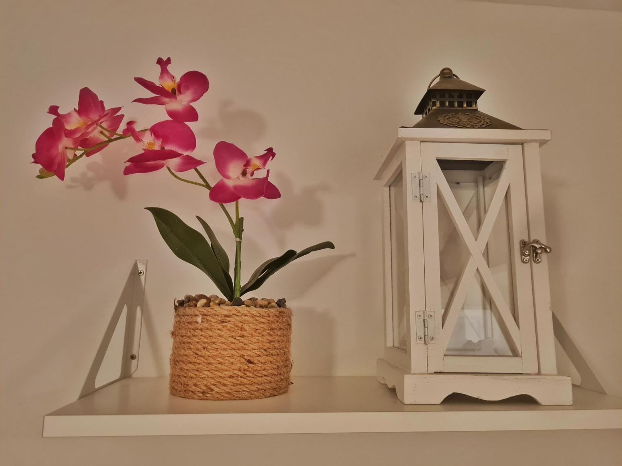 Holiday Place Veli Dvor - Vacation House With Private Garden In Old Town Punat Esterno foto