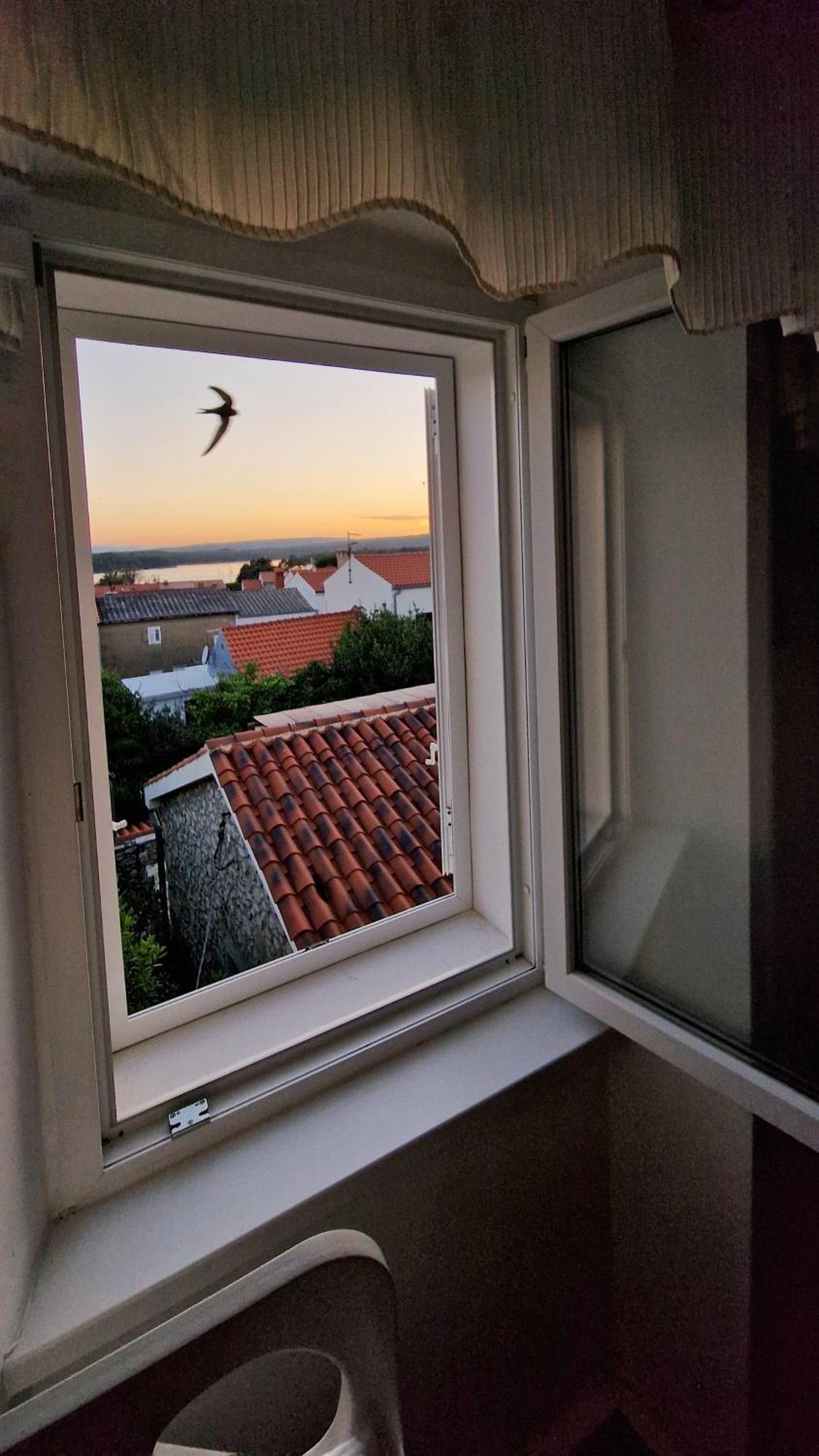 Holiday Place Veli Dvor - Vacation House With Private Garden In Old Town Punat Esterno foto